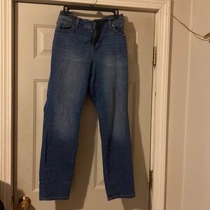 Dark Blue Denim Jeans Torrid Skinny